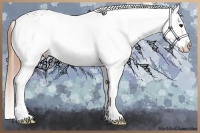 Horse Color:White Spotted Brown Dun Splash Varnish