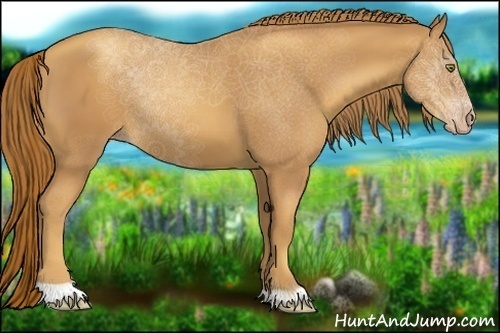 Horse Color:Gold Champagne 