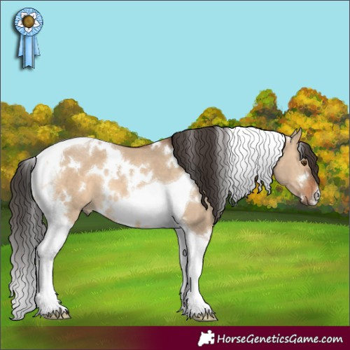 Horse Color:White Spotted Bay Dun Tobiano 