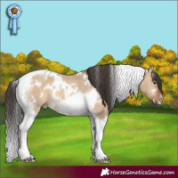 Horse Color:White Spotted Bay Dun Tobiano 