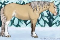 Horse Color:Silver Bay Dun Sabino