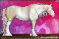 Horse Color:Nacre White Spotted Palomino Pearl