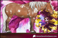 Horse Color:White Spotted Silver Bay Appaloosa 