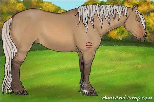 Horse Color:Silver Bay Dun Sabino