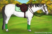 Horse Color:White Spotted Bay Splash  and White Spotted Bay Dun Splash 