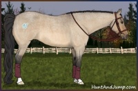 Horse Color:Buckskin Roan Dun