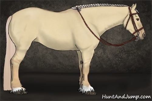 Horse Color:Palomino Roan Dun