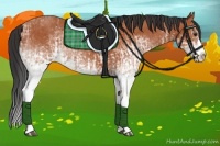 Horse Color:White Spotted Bay Splash  and White Spotted Bay Splash 