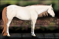 Horse Color:Amber Cream Champagne Pearl