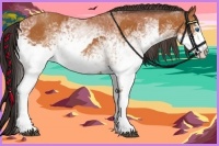 Horse Color:White Spotted Bay Splash and White Spotted Bay