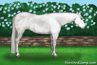 Horse Color:Gray Grullo Ice