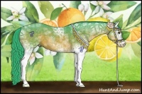 Horse Color:Watercolor White Spotted Buckskin Ice