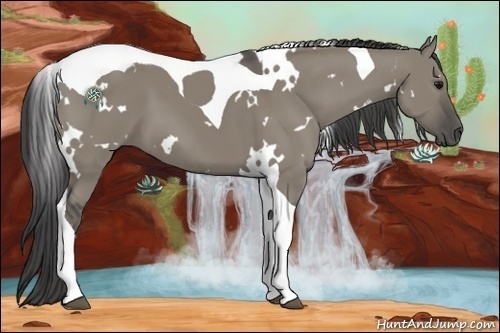 Horse Color:White Spotted Smoky Grullo Tobiano