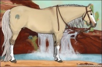 Horse Color:White Spotted Silver Brown Dun