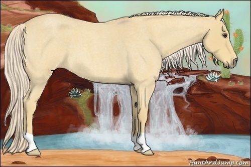 Horse Color:Palomino Roan 
