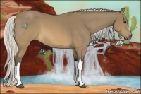 Horse Color:Silver Buckskin 