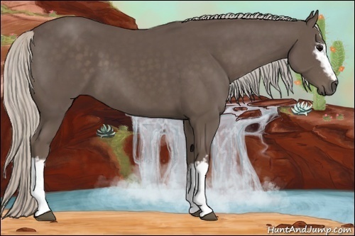 Horse Color:White Spotted Silver Black 