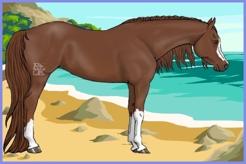 Horse Color:Chestnut 