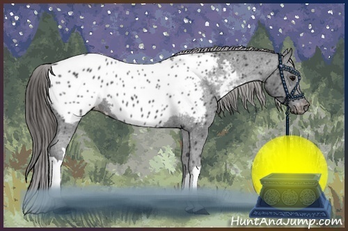 Horse Color:Black Near Leopard 