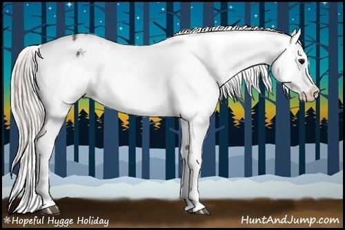 Horse Color:Silver Black Appaloosa 