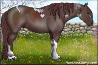 Horse Color:Chocolate Black Tobiano