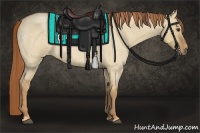 Horse Color:Red Dun Roan 