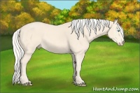 Horse Color:Cremello  and Cremello 