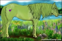 Horse Color:Watercolor Chestnut 