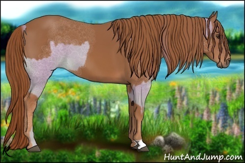 Horse Color:Watercolor Chestnut and Chestnut