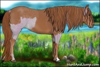 Horse Color:Watercolor Chestnut and Chestnut