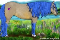 Horse Color:Watercolor Bay 