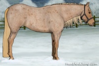 Horse Color:Red Roan 