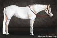 Horse Color:Buckskin Roan Pearl and Amber Cream Champagne Roan Pearl