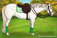 Horse Color:Buckskin Roan Pearl  and White Spotted Buckskin Roan Pearl 