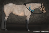 Horse Color:Buckskin Roan 