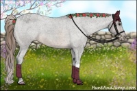 Horse Color:Buckskin Appaloosa