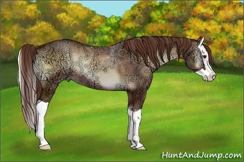 Horse Color:Red Onyx Ice Splash 