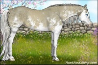 Horse Color:Chocolate Palomino Sabino Splash 