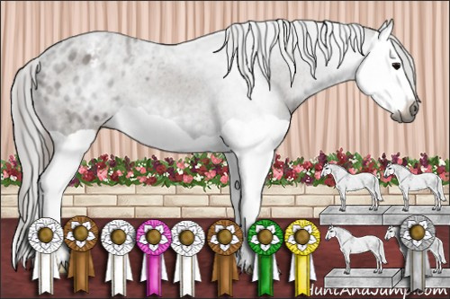 Horse Color:Gray Black Splash Appaloosa