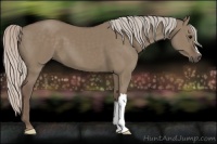 Horse Color:Silver Grullo 