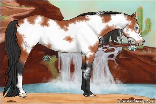 Horse Color:Bay Frame