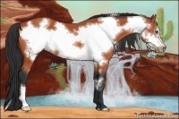 Horse Color:Bay Frame