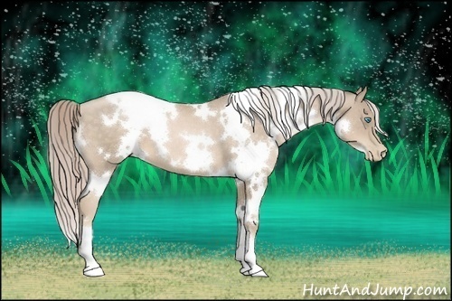 Horse Color:White Spotted Chocolate Palomino Pearl