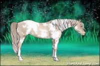 Horse Color:White Spotted Chocolate Palomino Pearl 