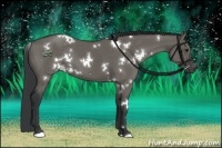 Horse Color:White Spotted Grullo