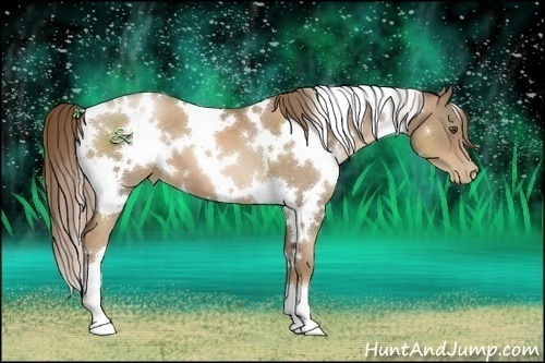 Horse Color:White Spotted Liver Chestnut Pearl 