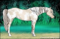 Horse Color:White Spotted Chocolate Palomino Pearl Dun