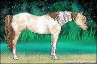 Horse Color:White Spotted Liver Red Dun Pearl