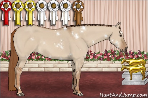 Horse Color:White Spotted Red Dun 