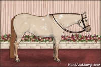 Horse Color:White Spotted Red Dun 